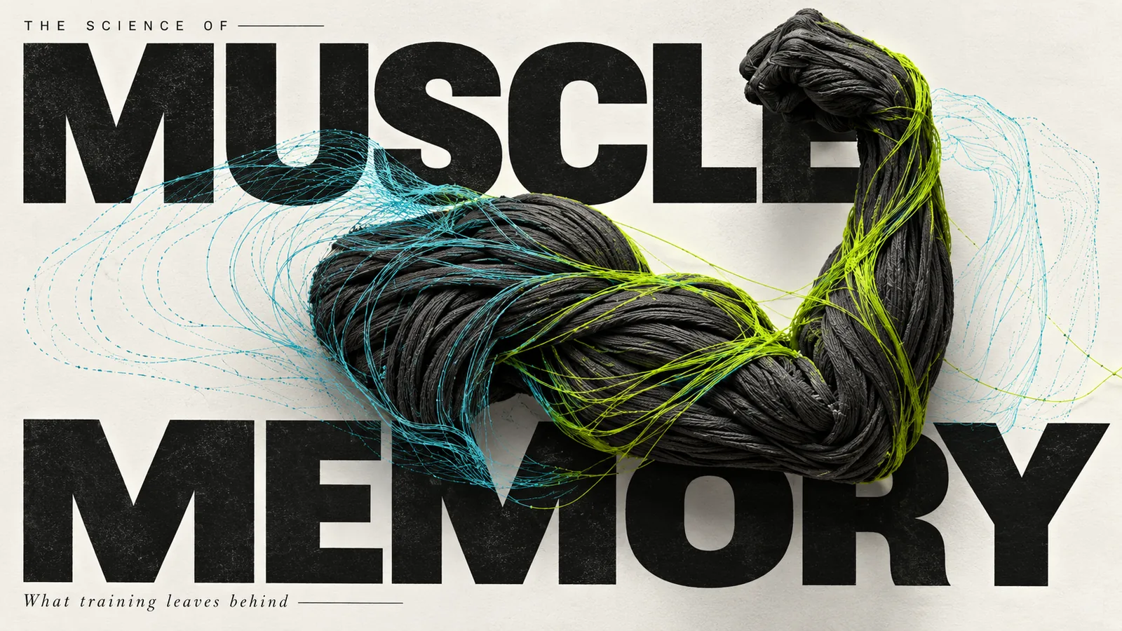 muscle memory